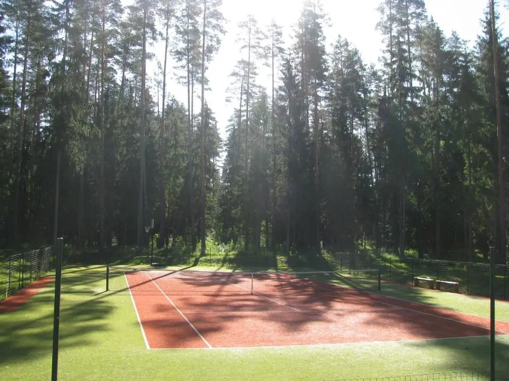Tennis court in the forest